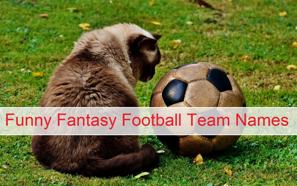 780+ Best Fantasy Football Team Names Make Your Team Famous 1