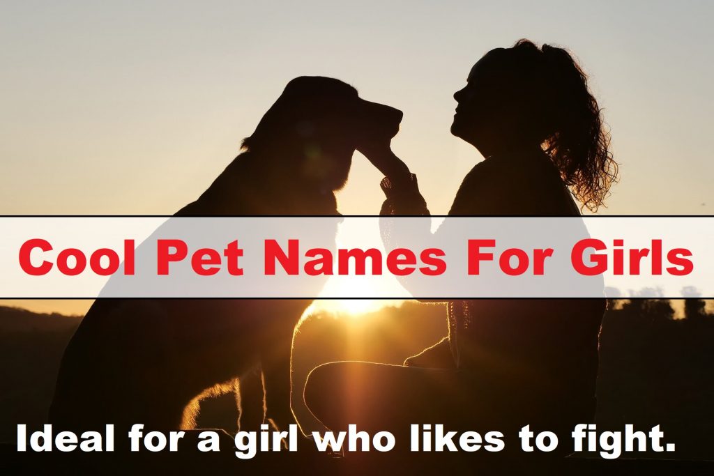 Cool Pet Names For Girls