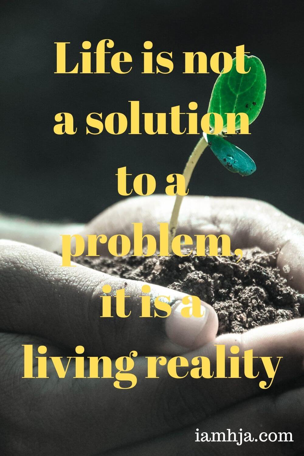 Life is not a solution to a problem, it is a living reality