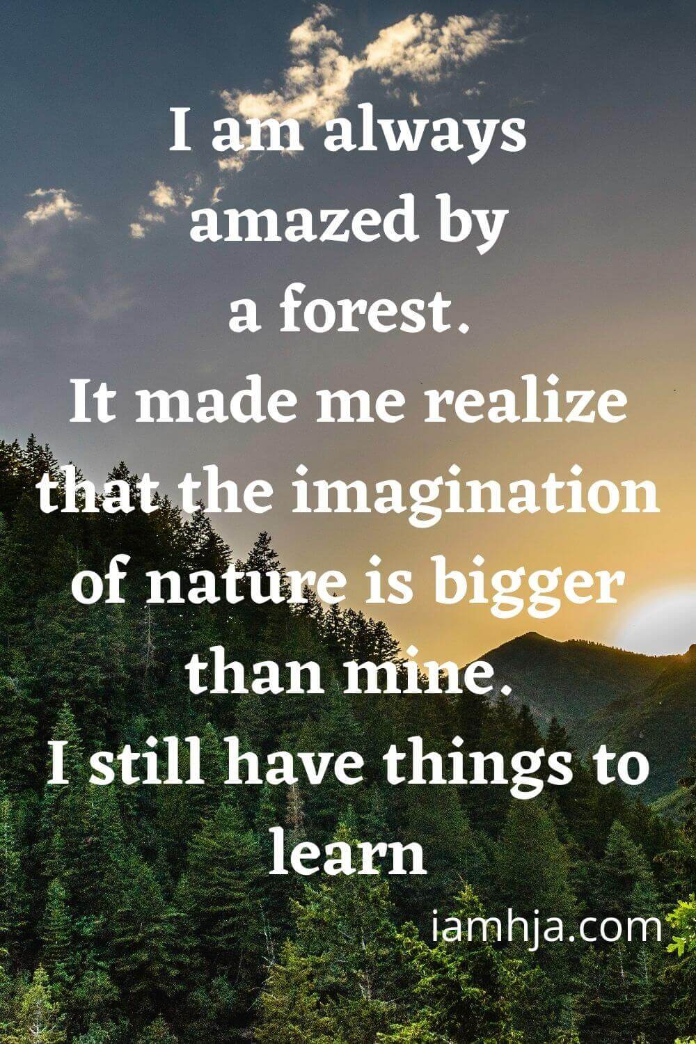 I am always amazed by a forest. It made me realize that the imagination of nature is bigger than mine. I still have things to learn