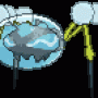 araquanid