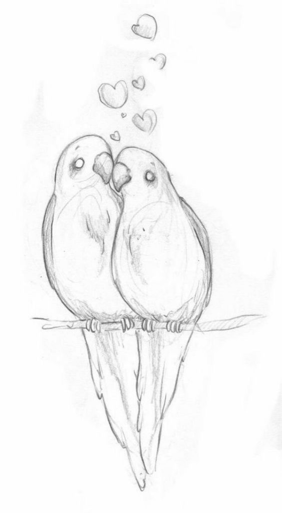 Parrots - Step by Step Guide to Draw