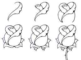 Rose - Step by Step Guide to Drawing