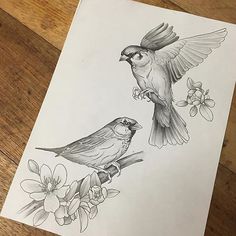 Bird - Step by Step Guide to Draw