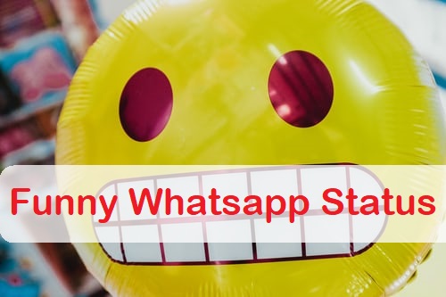 Funny Whatsapp Status