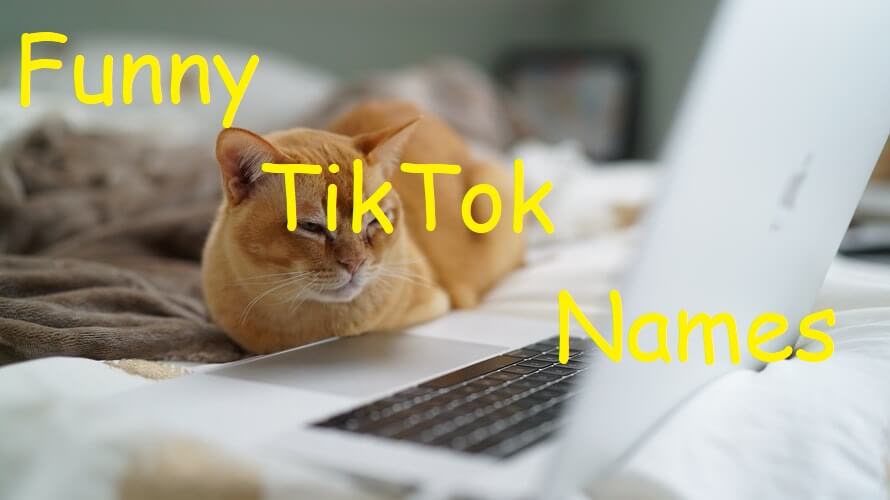 Funny TikTok Names