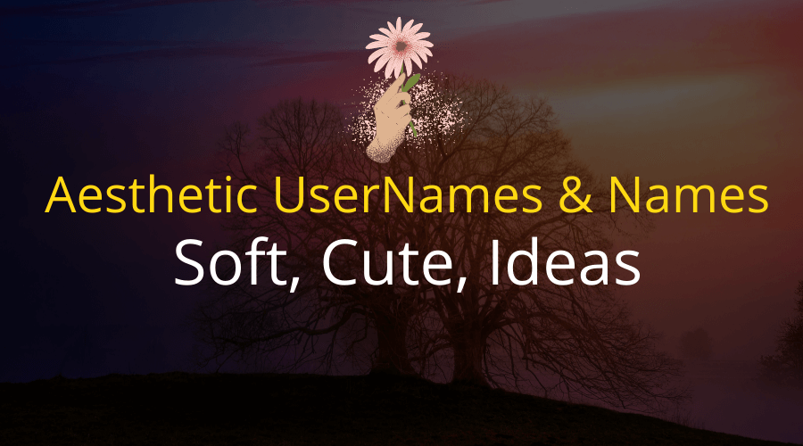 902 Aesthetic Usernames Names Soft Cute Ideas - cute cool usernames for roblox