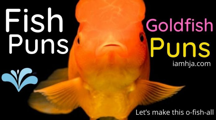 Fish Puns
