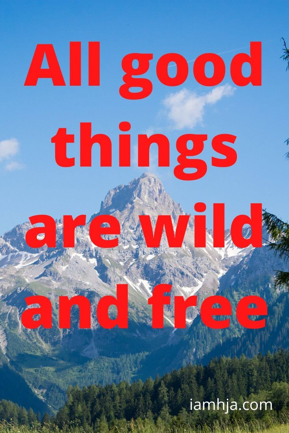 All good things are wild and free