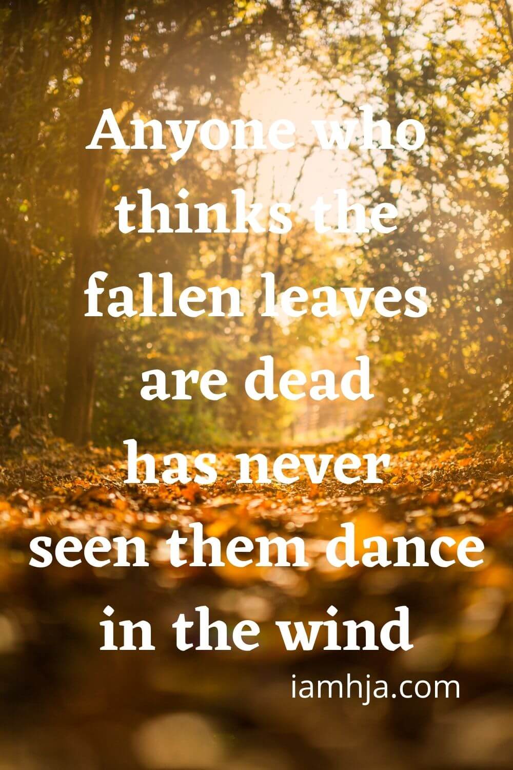 Anyone who thinks the fallen leaves are dead has never seen them dance in the wind