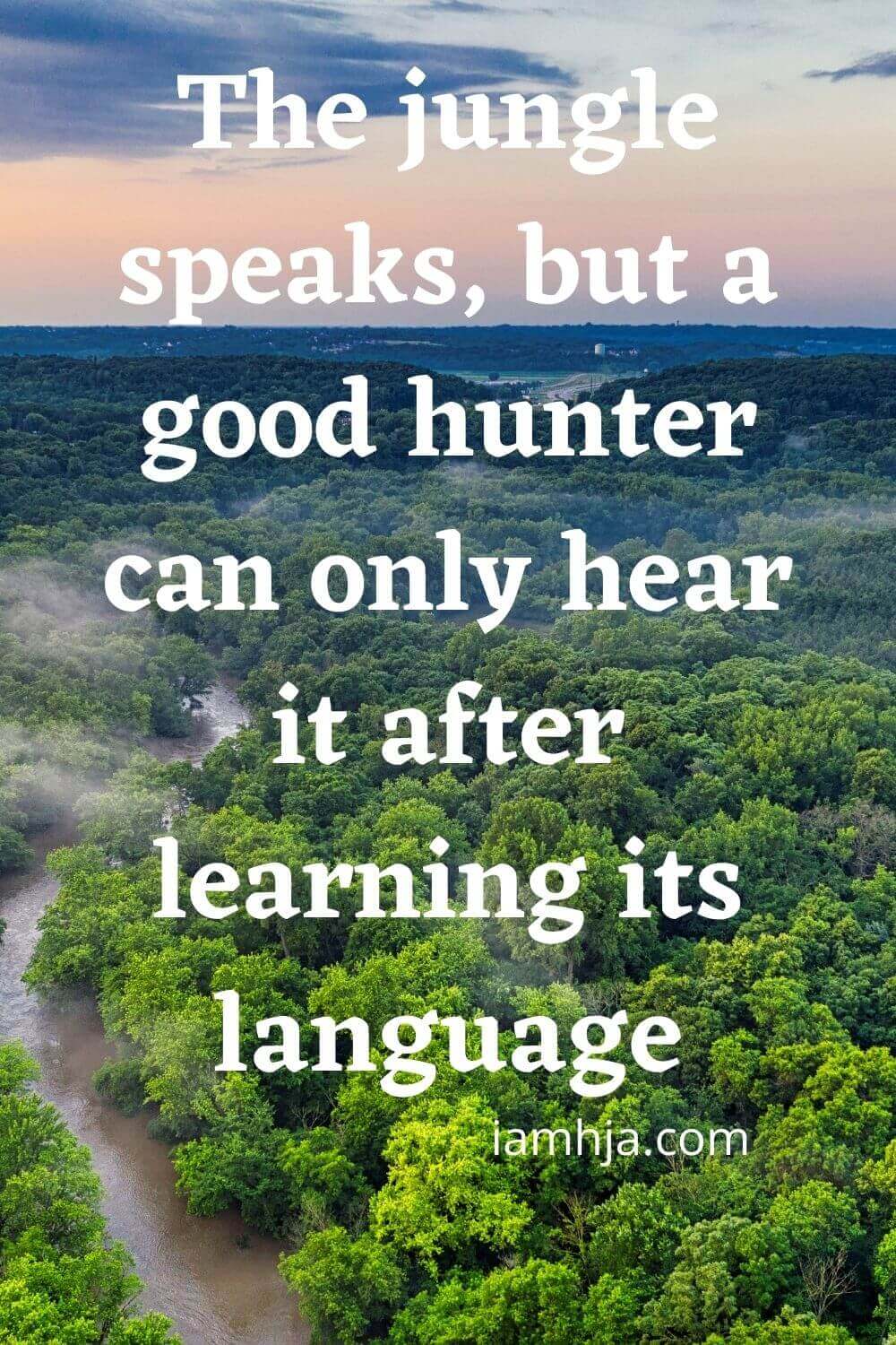 The jungle speaks, but a good hunter can only hear it after learning its language