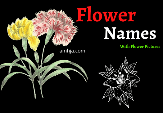 Flower Names