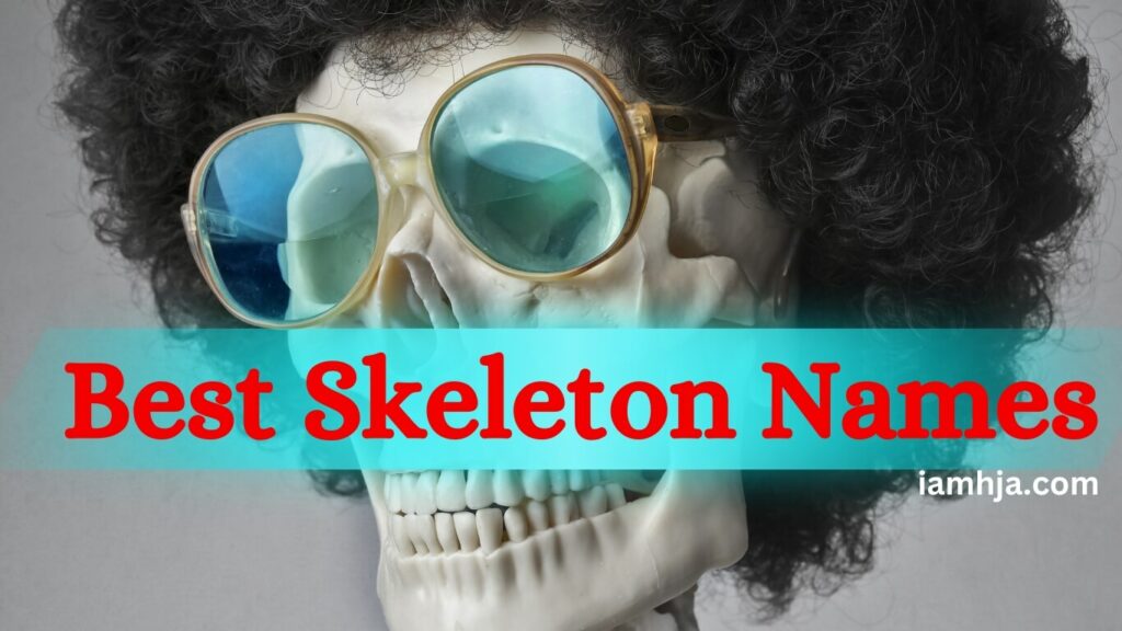 170+ Best Skeleton Names Male, Female, Funny & Cool