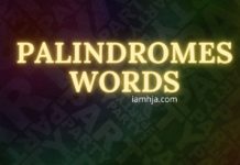 Palindromes Words