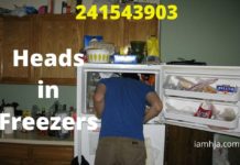 241543903 - Heads in Freezers