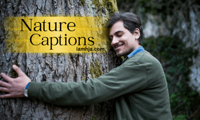 Nature Captions