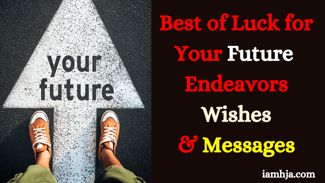 best wishes for future endeavors