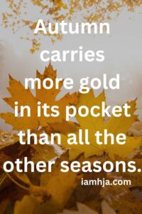 Autumn carries more gold in its pocket than all the other seasons.