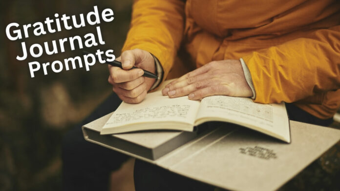 gratitude journal prompts